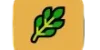 Eco-Friendly__Family-Safe_Products_from_GCS_Cleans