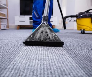 Carpet Cleaning Columbia SC Carpet Cleaning Columbia SC