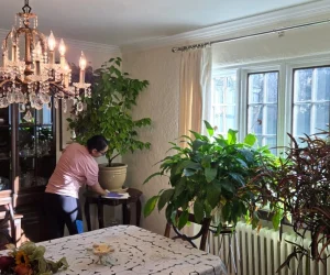 Gibraltar House Cleaning Services Columbia SC Gibraltar House Cleaning Services Columbia SC